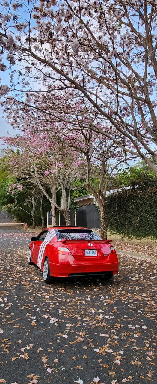 Karen Trejos, Honda Civic 2007, S1