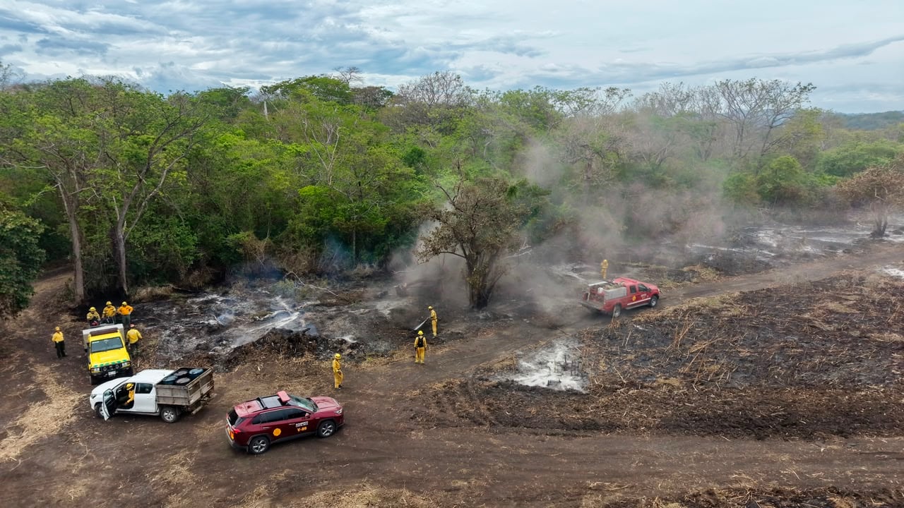 El incendio en Palo Verde tiene trabajando a más de 60 bomberos por día ya que el fuego está encerrado pero no controlado. Se quemó ya una extensión como de unas 56 parques La Sabana.