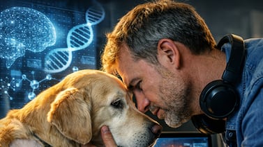 Un hombre usa inteligencia artificial para intentar salvar a su perra del cáncer