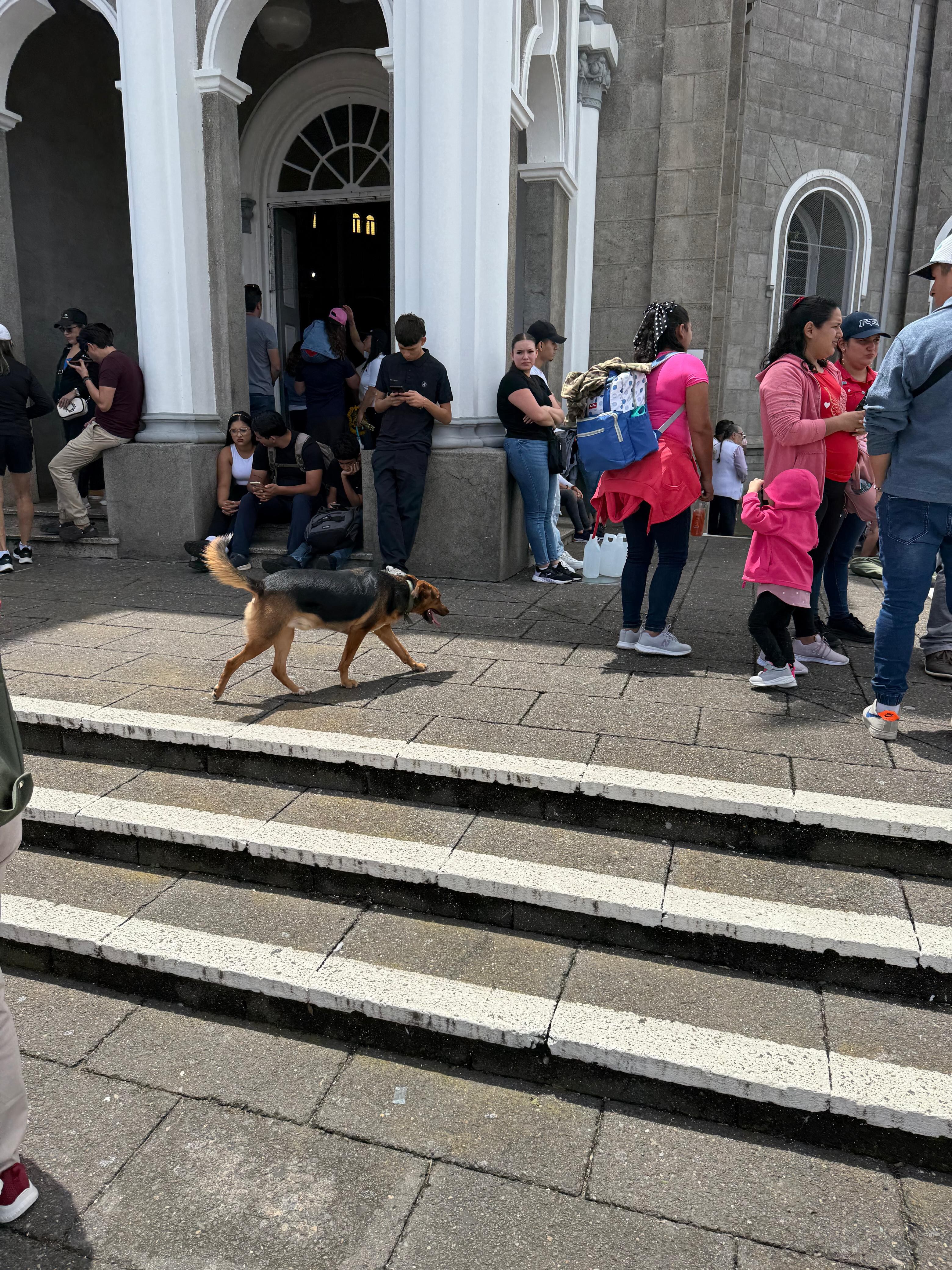 El domingo 20 de julio del 2025 los romeros comenzaron a llegarle a  la Negrita de Cartago.
