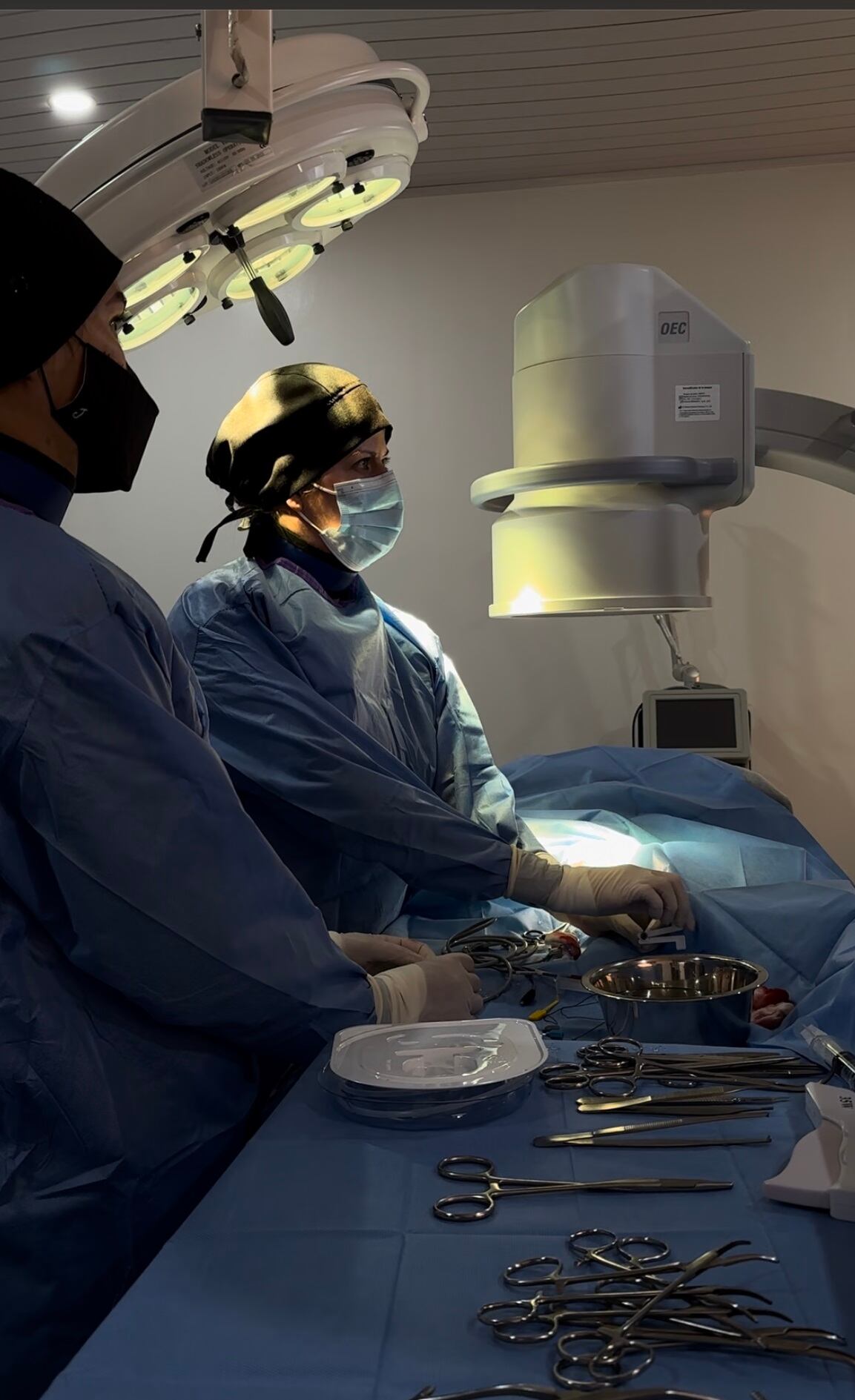 Chou Chou es una perrita tica de 6 años de la raza Shih Tzu que el año pasado se puso muy malita de salud y terminó este 2023 en el quirófano en donde le pusieron un marcapasos