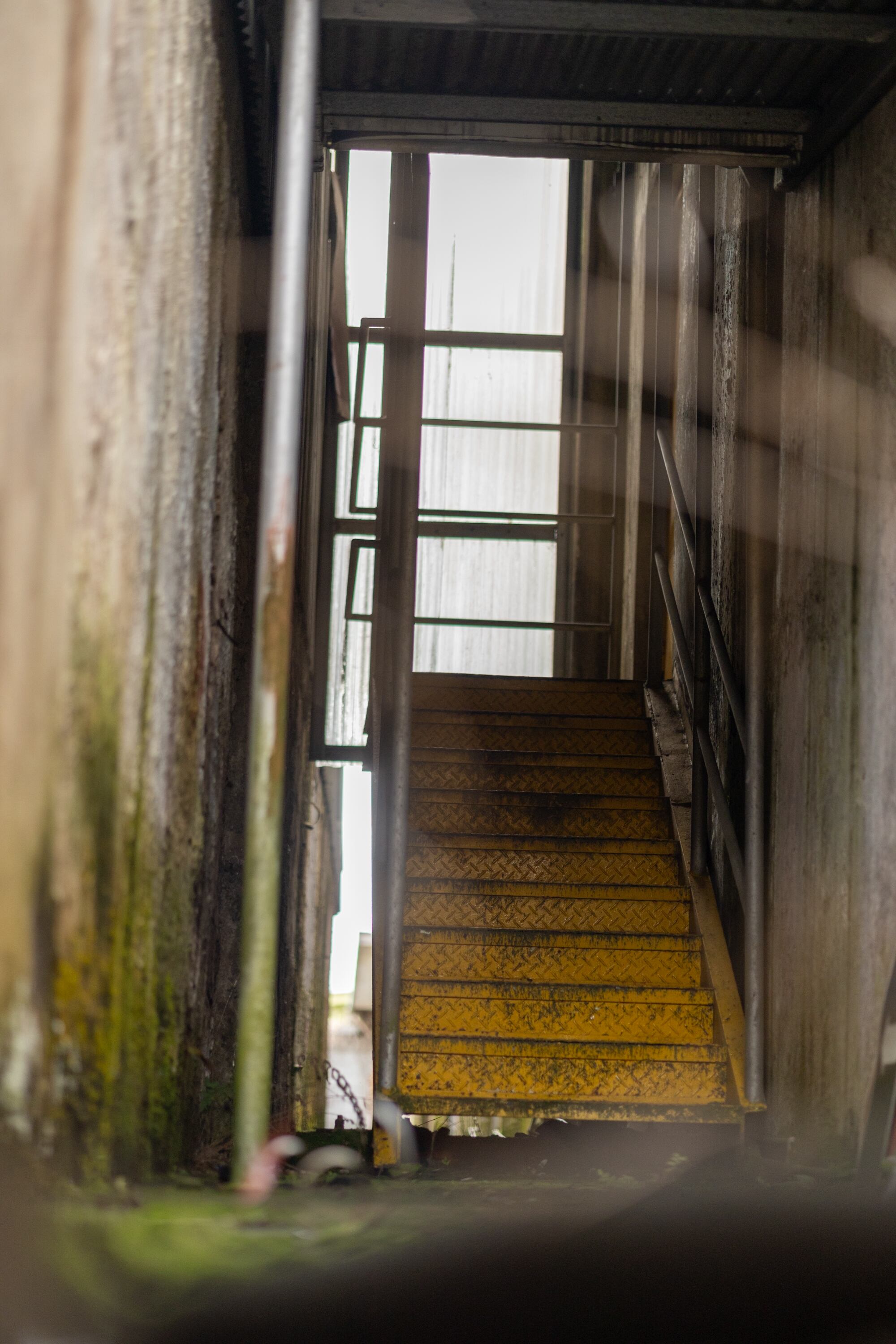 14/11/2024, Cartago, fotografías del Gimnasio del Colegio de San Luis Gonzaga, para poder observar el deterioro en el que está el edificio abandonado.