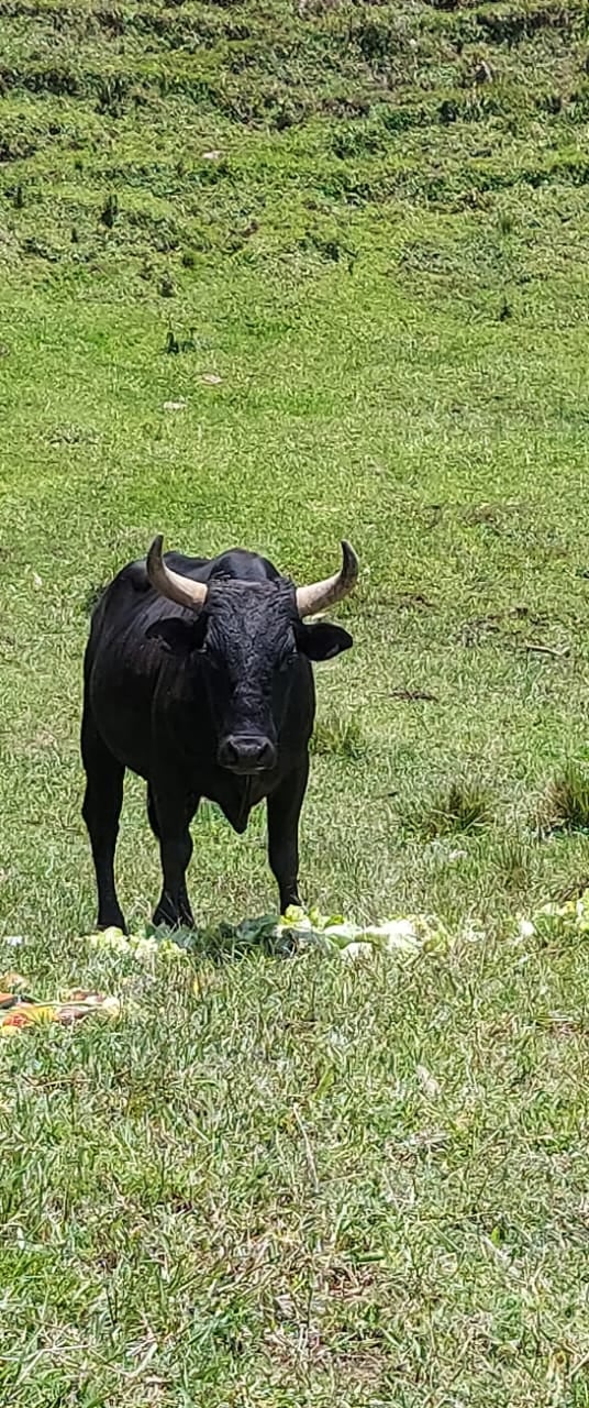 Presentadora Maureen Salguero, la tía.