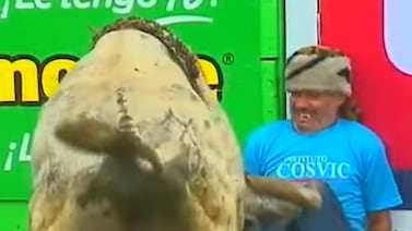 ¿De qué murió Pity, querido torero improvisado de Zapote?