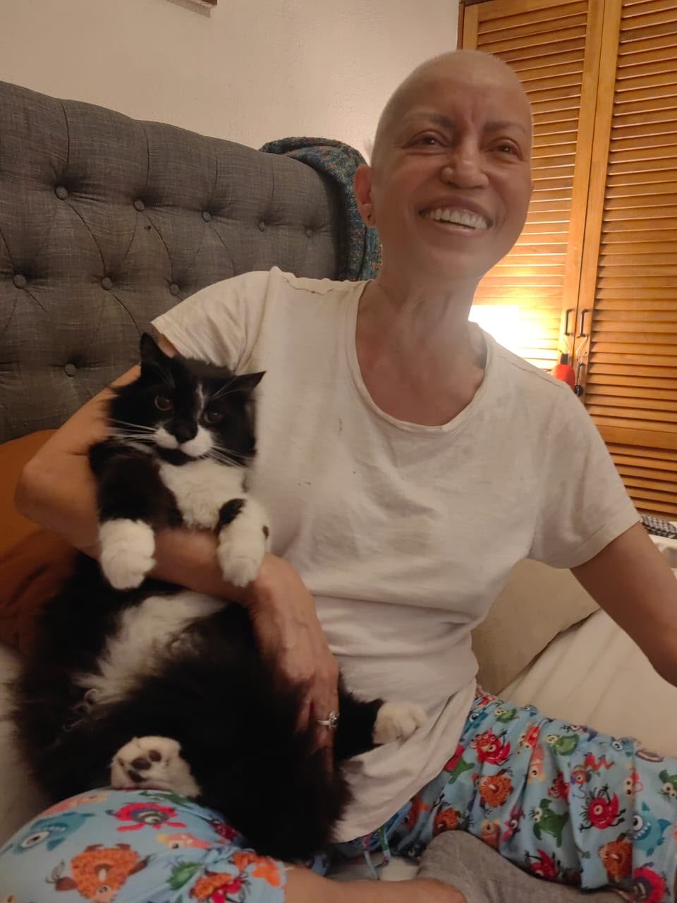 Karla Benavides necesita ayuda para encontrar a su gatita Siam