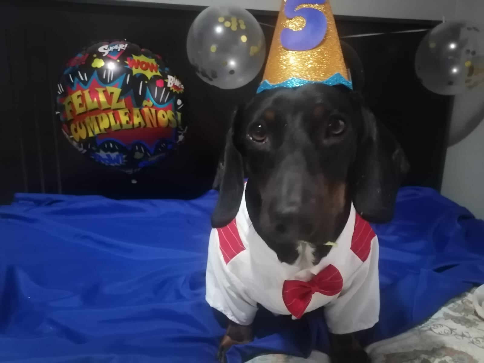 En la vida de Dayan Villagra Montero, ambas cosas se cruzaron en el mismo momento… y el resultado fue una historia que hoy la hace sonreír todos los días, gracias al perrito salchicha Theo Pascual