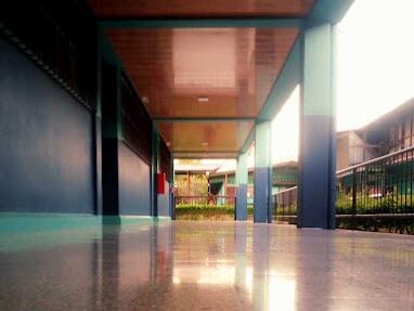 liceo león cortés castro. Foto tomada de internet.