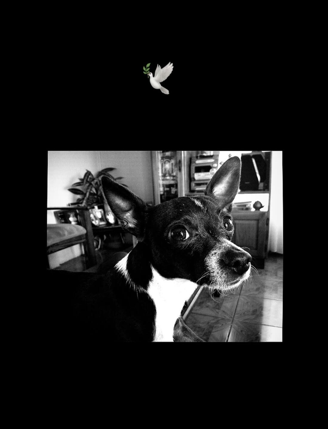 Sharon Segura, modelo e influencer