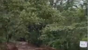 Impresionante avalancha de lodo asustó comunidad, expertos del CNE van para el sitio