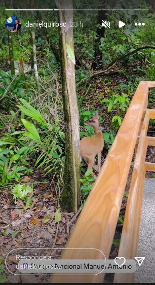 Daniel Quirós compartió con sus seguidores lo mucho que disfruta de las bellezas naturales. Foto: Instagram