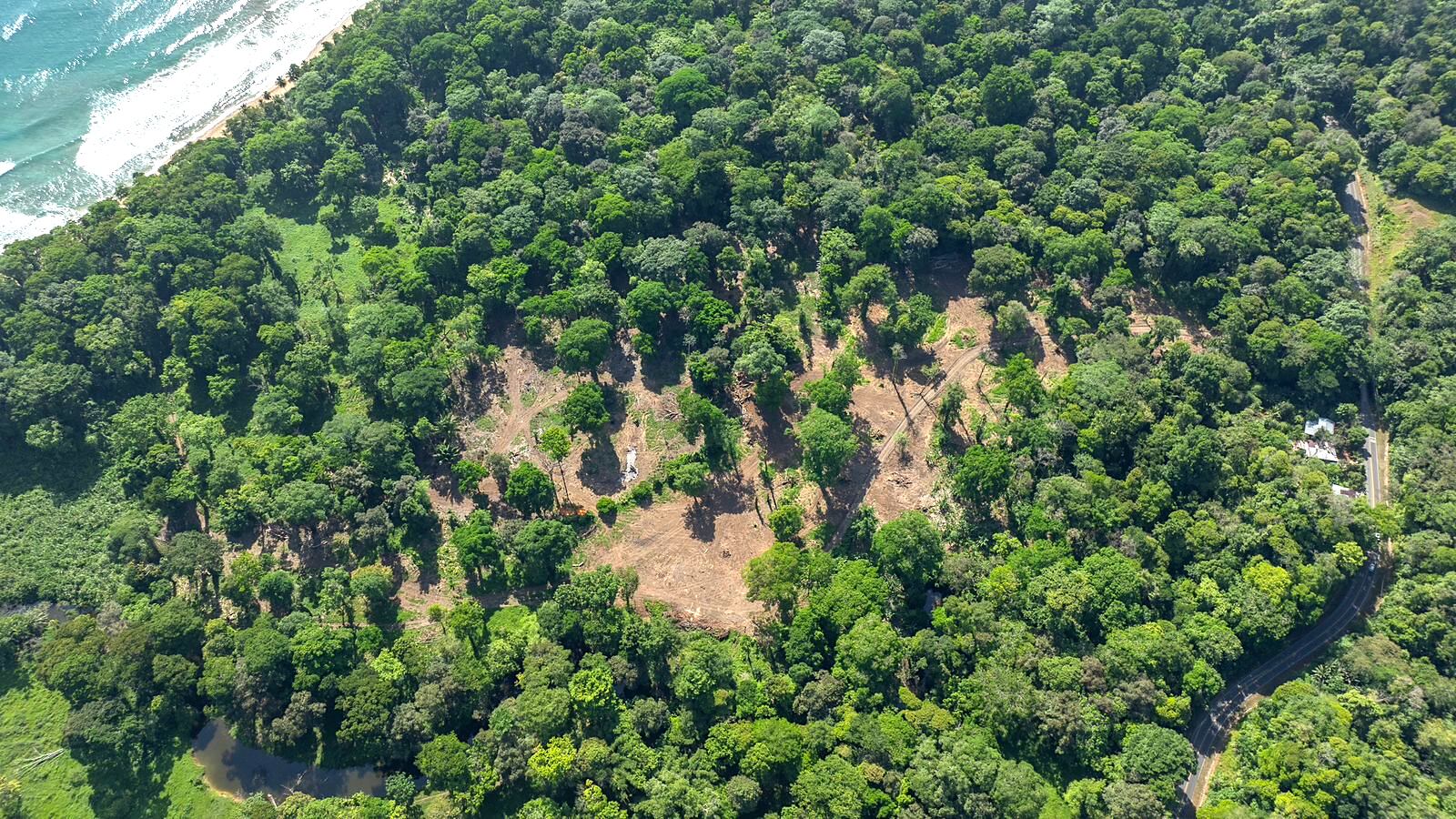 Detalle de la zona marítimo-terrestre de una zona boscosa parcialmente cambiada en una propiedad cerca del Refugio Gandoca-Manzanillo en el Caribe Sur. Abajo, a la derecha, se ve la vía pública. Fotografía: Cortesía Grupos Ambientalistas del Caribe Sur.