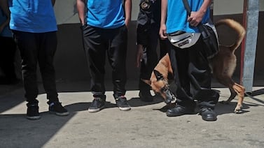 Preocupante foto de chiquitos de colegio con ametralladora en Costa Rica: esto dice director