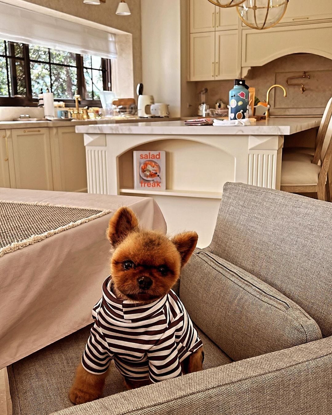 Periodista Adriana Quesada, "Maléfica", y su familia.