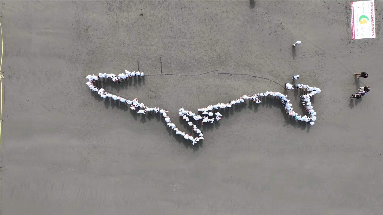 El sábado 8 de junio del 2024, a las 9 de la mañana, llegaron a la convocatoria 466 personas a playa Zancudo para formar la silueta de una ballena jorobada y así imponer un nuevo Record Guinnes.