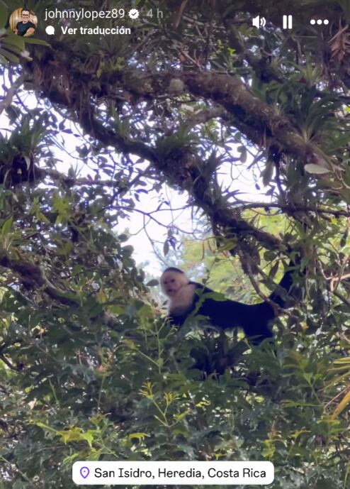 Johnny López y Marcelo Castro tienen un nuevo inquilino en su propiedad.