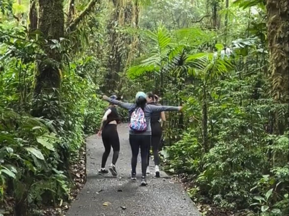 Reserva Santa Elena Monteverde