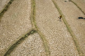 El mundo se encamina a un calentamiento altísimo en este siglo, “Inundaciones mortales, olas de calor brutales” alerta la ONU