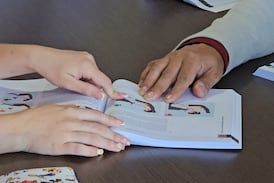 ¿Cuándo salen a la venta los nuevos manuales del conductor?