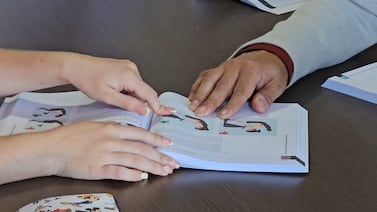 ¿Cuándo salen a la venta los nuevos manuales del conductor?