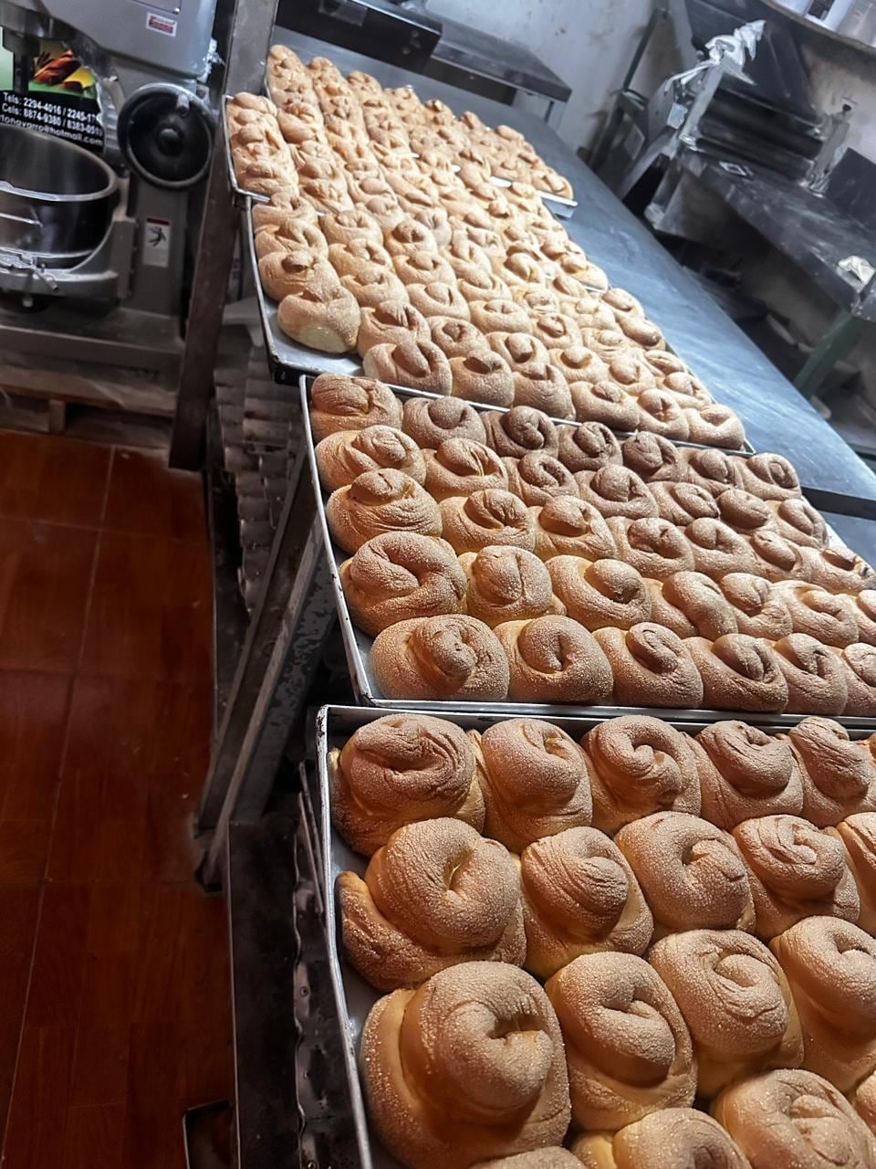 Fátima Moreno Zamora llegó desde León con un sueño, empezó con ₡200 mil y hoy su Panadería Gabriel es ejemplo de esfuerzo, fe y trabajo en Costa Rica