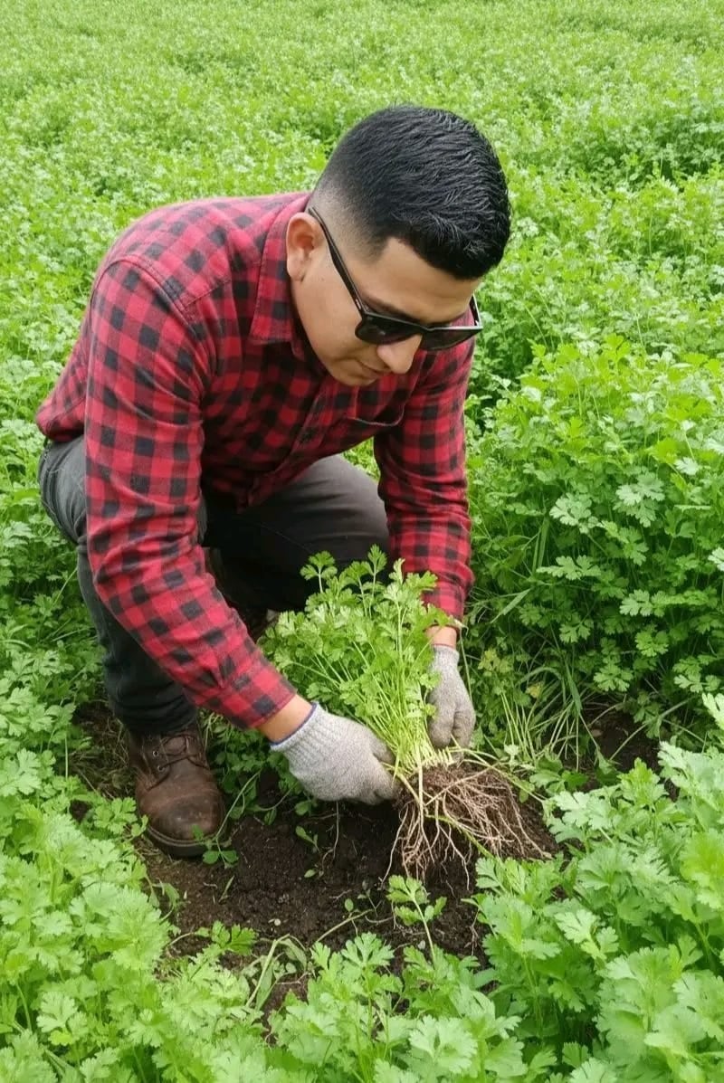 Alexander Cano dejó Nicaragua con un título de ingeniero agrónomo bajo el brazo y apenas el dinero para el pasaje. En Costa Rica aceptó cualquier trabajo honrado hasta volver a ejercer su profesión
