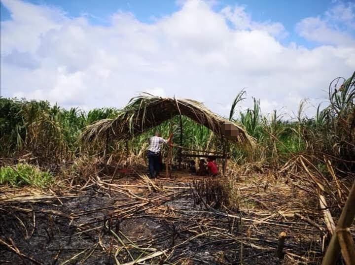 Familia con tres niños viven en humilde rancho