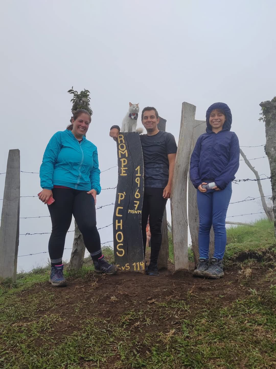 Bruno no es un gato cualquiera. Este peludito coronadeño, de un año y siete meses, es toda una celebridad felina, deportista de hueso (o garra) colorado y tan carismático que en redes sociales lo siguen como si fuera influencer. Su papá humano, Diego Zamora Jiménez, de 38 años y vecino de San Antonio de Coronado, fue quien sin saberlo desató esta aventura.