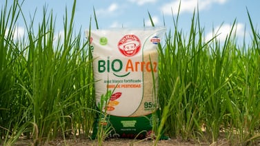 BIO Arroz TIO PELON, pensar, vivir y trabajar en verde como filosofía de vida