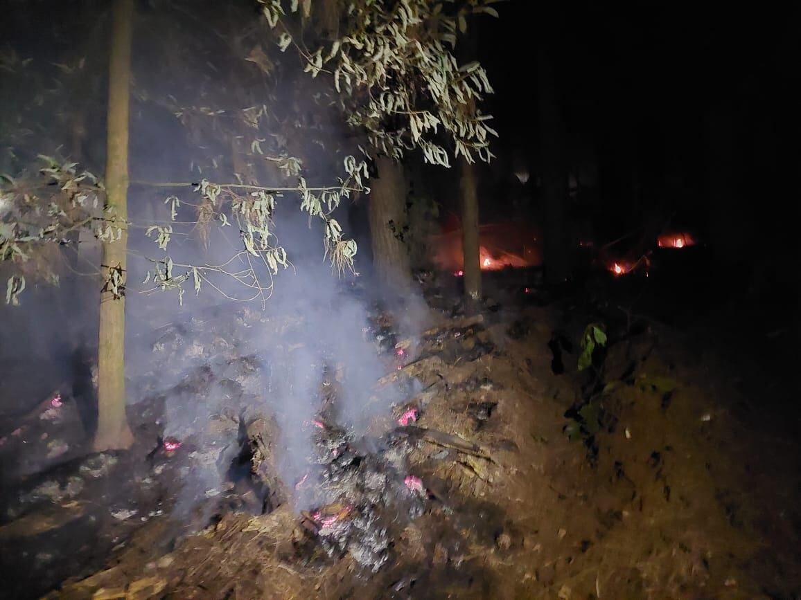 La rápida acción en las cercanías del sendero chiverrales en Prusia, Cartago evitó que el incendio forestal continuara. Foto: Sinac