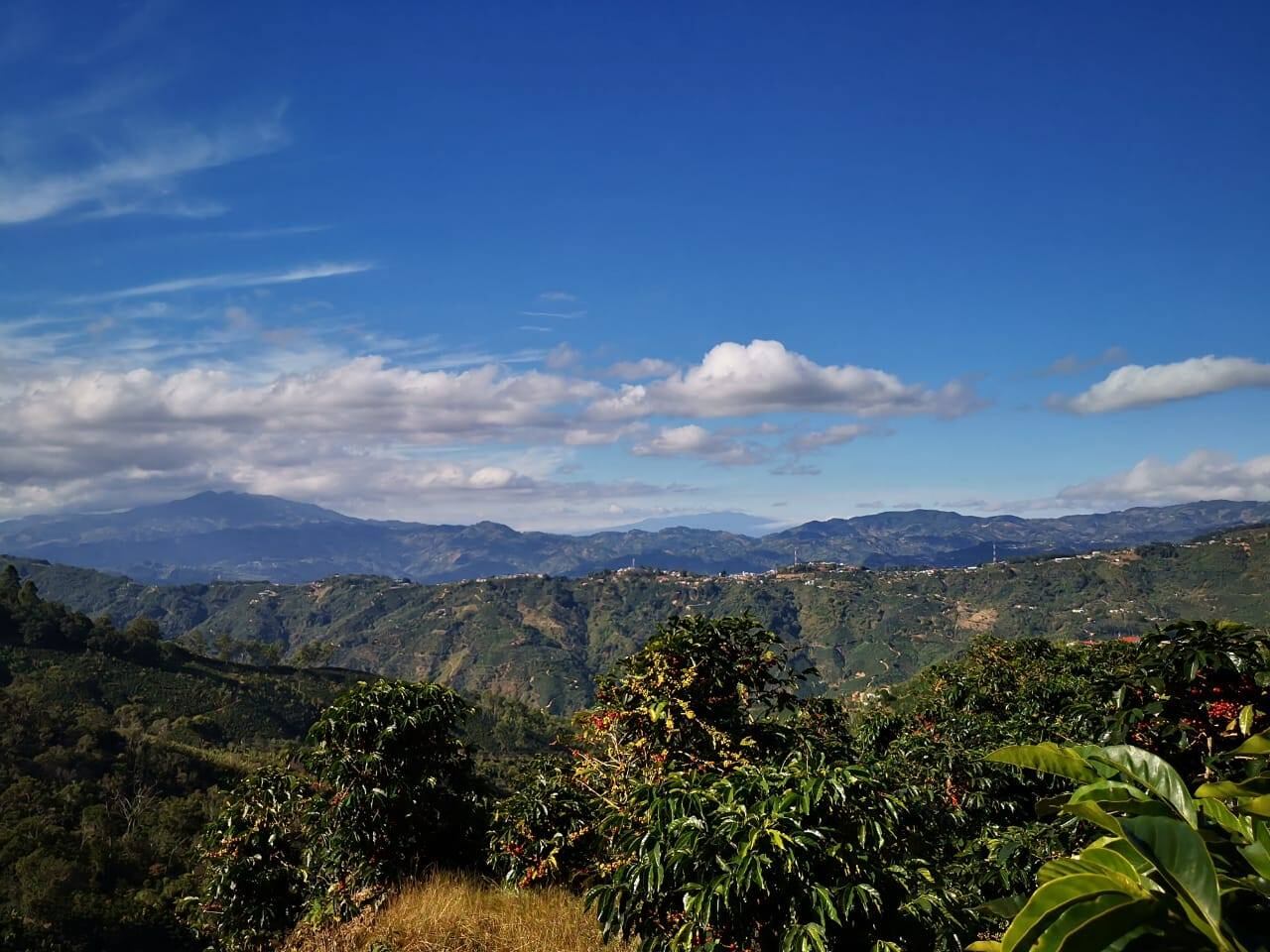 Detrás de cada bolsita de Pride Coffee hay una historia que huele a esperanza, que sabe a justicia y que arde con el fuego del orgullo. La historia la escribe Julio César Calvo Murillo