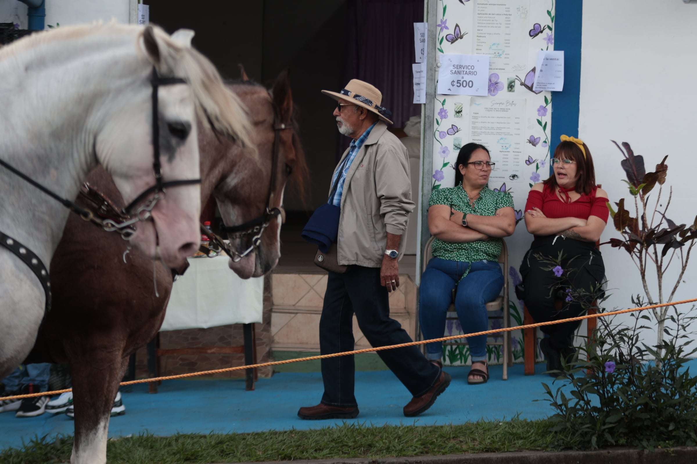 26/12/2025/ Fotos del Tope Nacional San Ramón 2025 / Foto John Durán