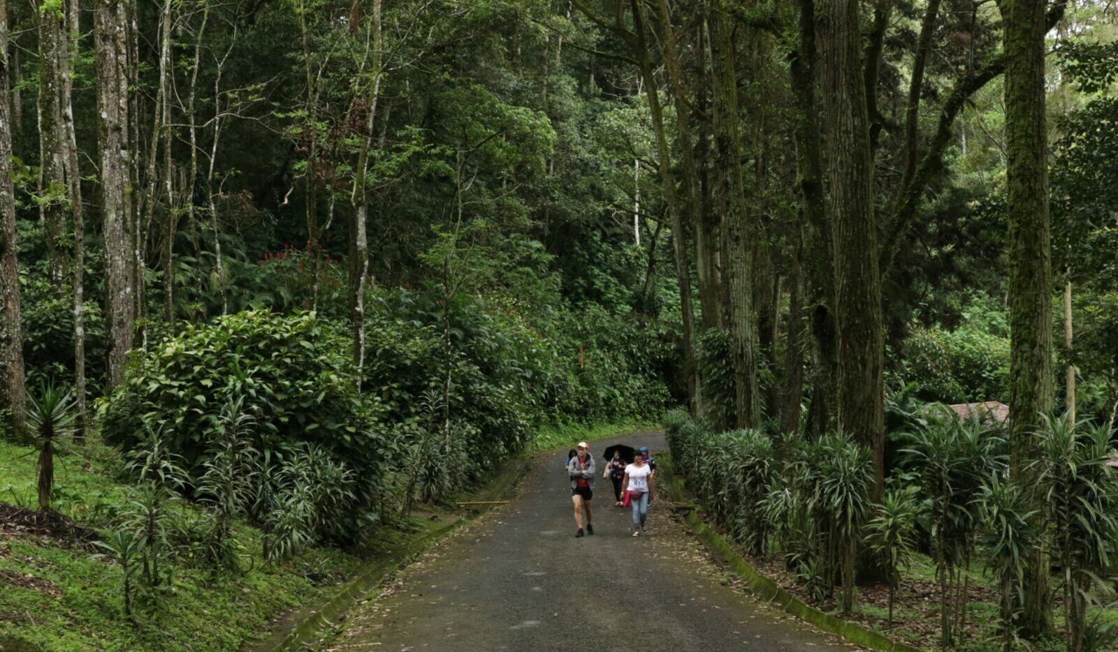 Caminata lo invita a recorrer llamativo parque y a la vez compartir en familia.