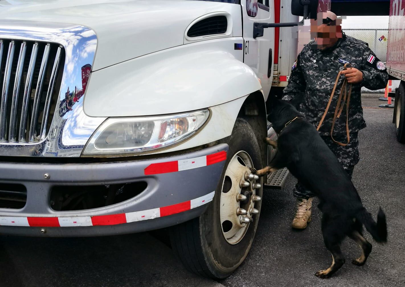Si hay alguien en Costa Rica que puede decir con orgullo que ha dedicado su vida a los perros policía, es José Castillo Rodríguez. Castillo es el fundador de UTAC-K9, la Unidad Táctica K9, una empresa especializada en el adiestramiento de perros para varios tipos de trabajos de seguridad