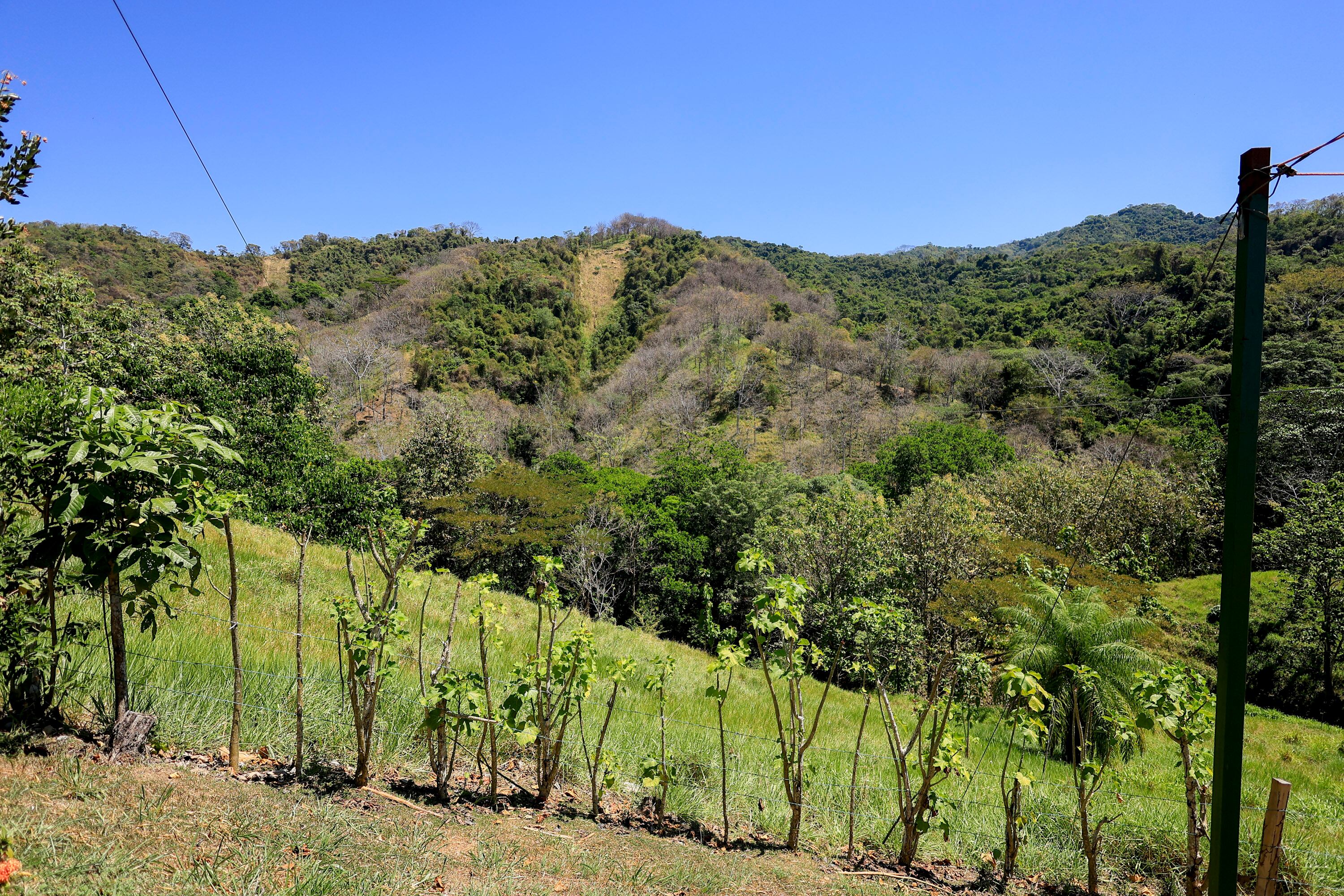 MATERIAL EXCLUSIVO DE LA TEJA.
27/02/2024, Puntarenas, Jacó y Quepos, recorrido por Carara Adventure Park y la Marina Pez Vela, para ver las atracciones que ofrecen al turismo nacional y extranjero.
