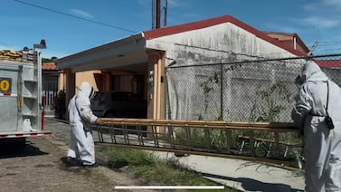 Devastador ataque de abejas acaba con la vida de un adulto mayor en Santa Ana