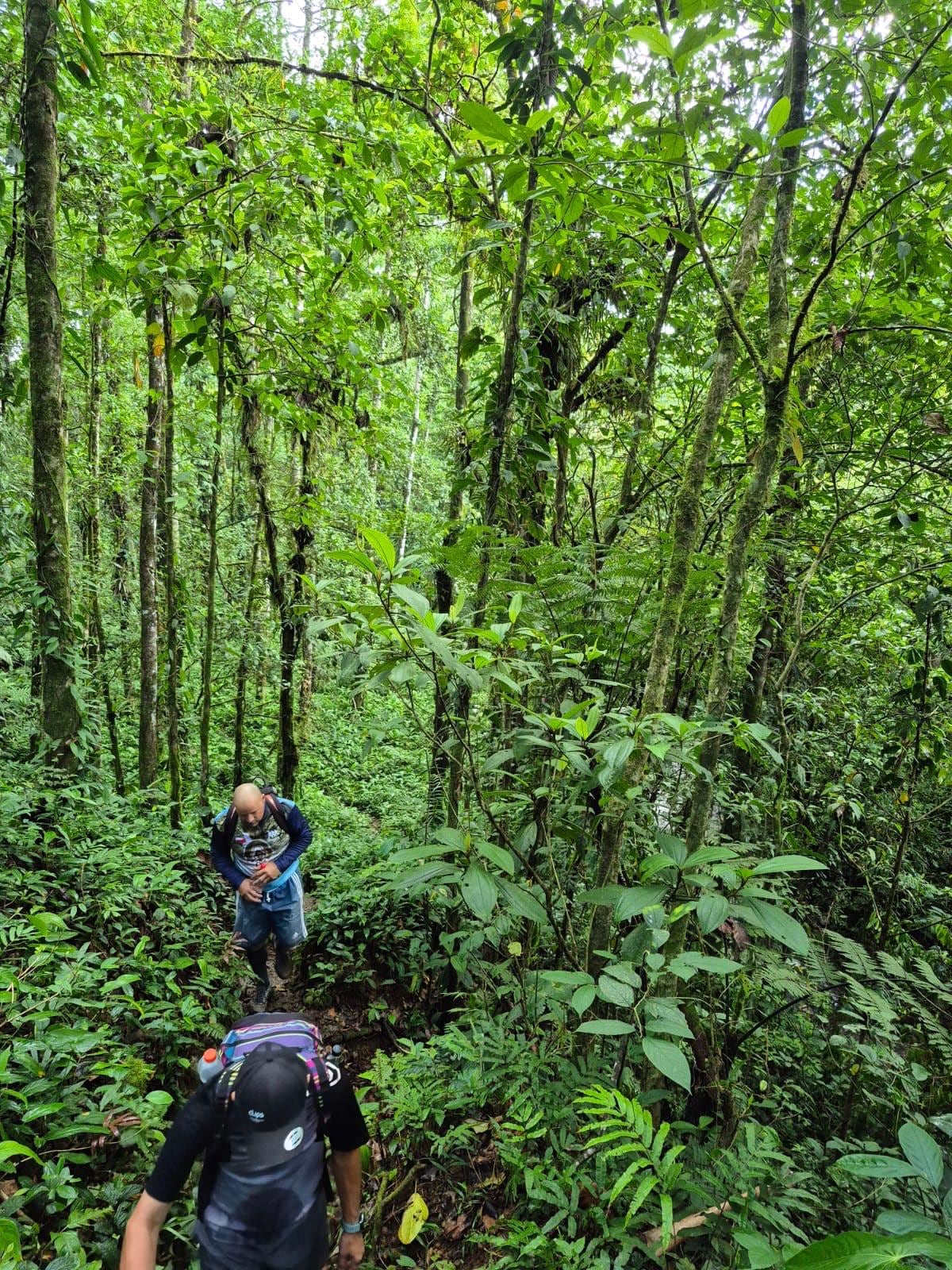 El barro y la neblina dominan los primeros kilómetros de montaña.