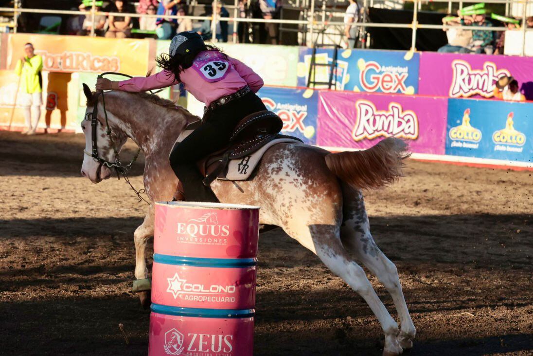 Barrilera en Pedregal