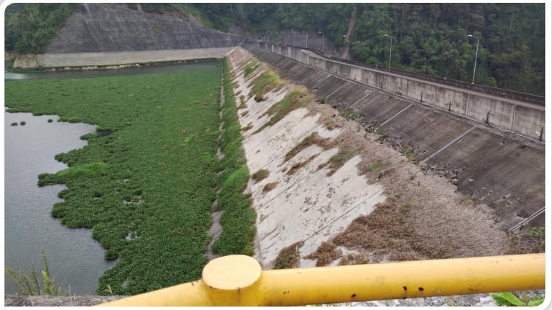 Al 9 de mayo del 2024 así estaban los niveles de agua el embalse Reventazón.