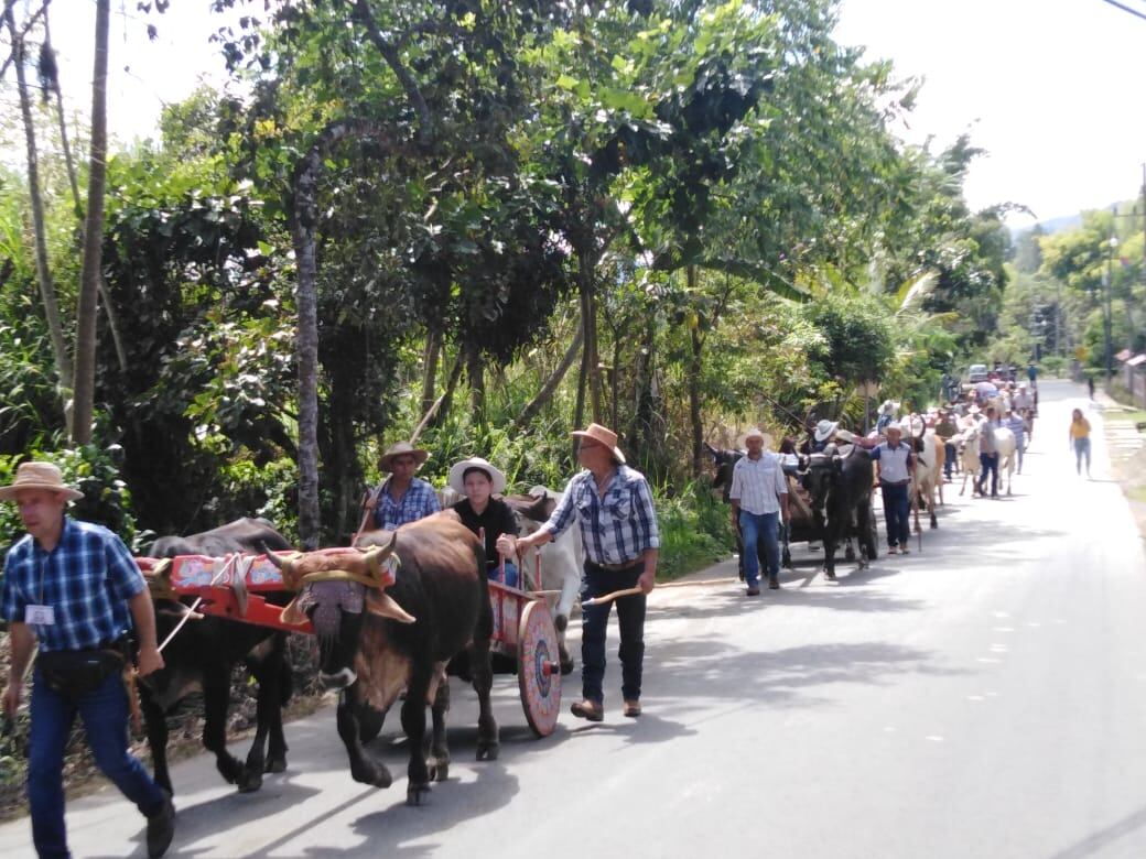 San Rafael de Platanares de Pérez Zeledón es un hermoso pueblito en el cual casi todas las casas tienen bueyes, carreta y trapiche, por eso a la hora pico, cuando se saca el café a media mañana, la presa es de carretas con bueyes. En la foto don Domingo Navarro, gran boyero que falleció hace cuatro meses. En la foto doña Francela Jiménez Fernandez y su esposo Jeicer Navarro Cruz