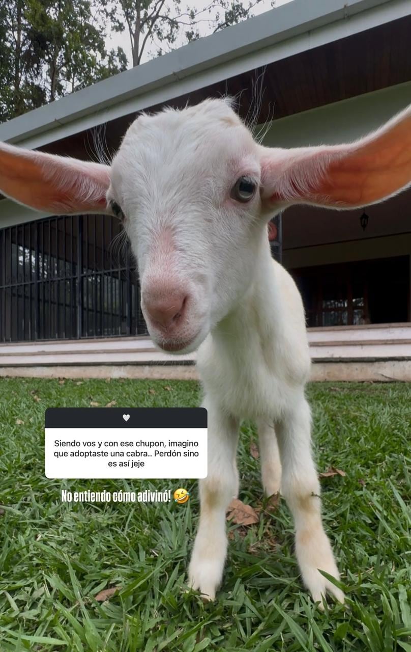 Johanna Solano Familia