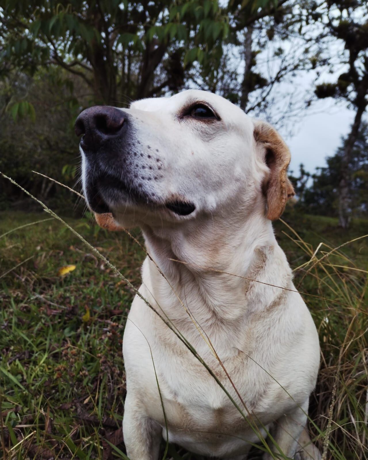 Canelón lleva una vida que más de uno se desearía.