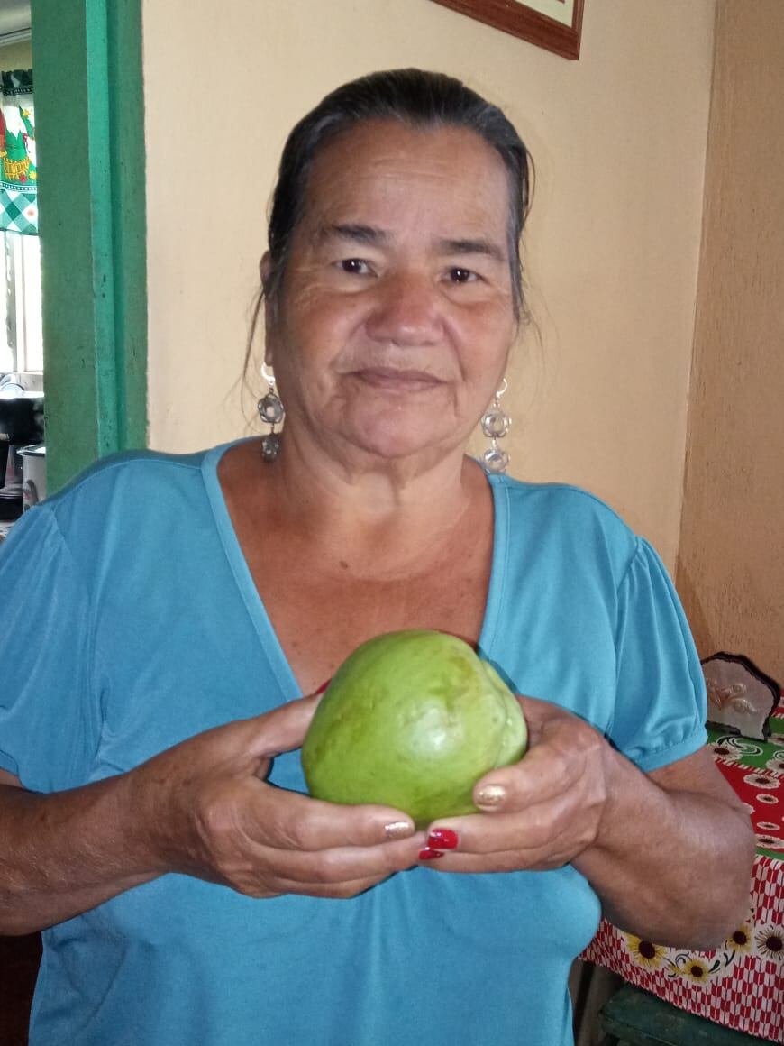 Don Fernando Chávez Rosas, agricultor de Cachí de Paraíso de Cartago, encontró el viernes 25 de febrero del 2022 un chayote con una cruz, mientras alistaba una caja para un pedido que le hicieron. En la foto doña María Elena Valerín Segura, la esposa de don Fernando, muestra el chayote.