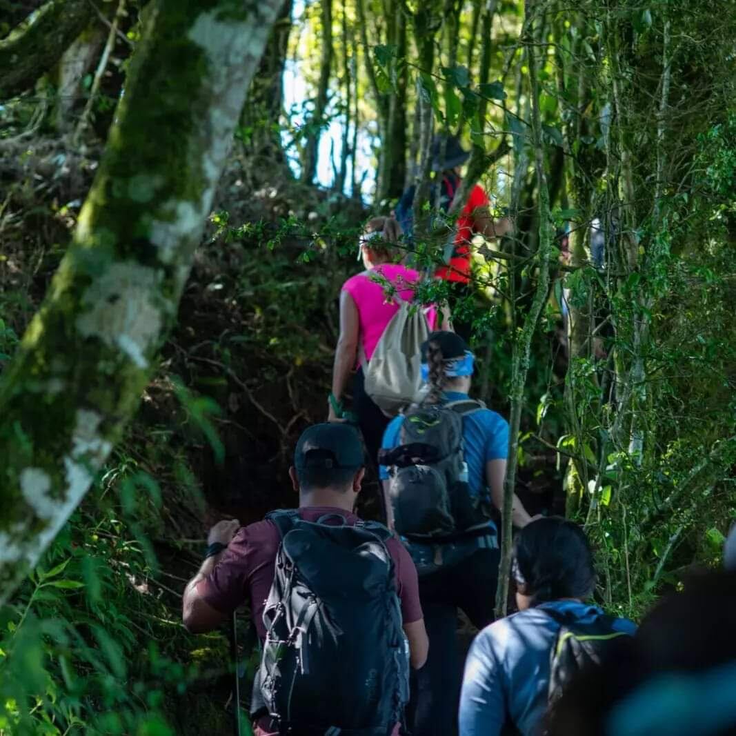 Este tour le será útil para prepararse para ir al cerro Chirripó.