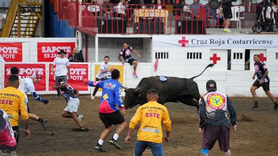 Fiestas de Zapote están muy llenas