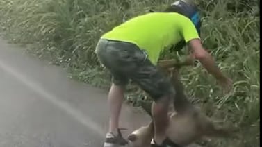 (Video) Motociclista en Costa Rica intentó ayudar a perezoso en la calle, pero salió rascando... ¡por el animal!