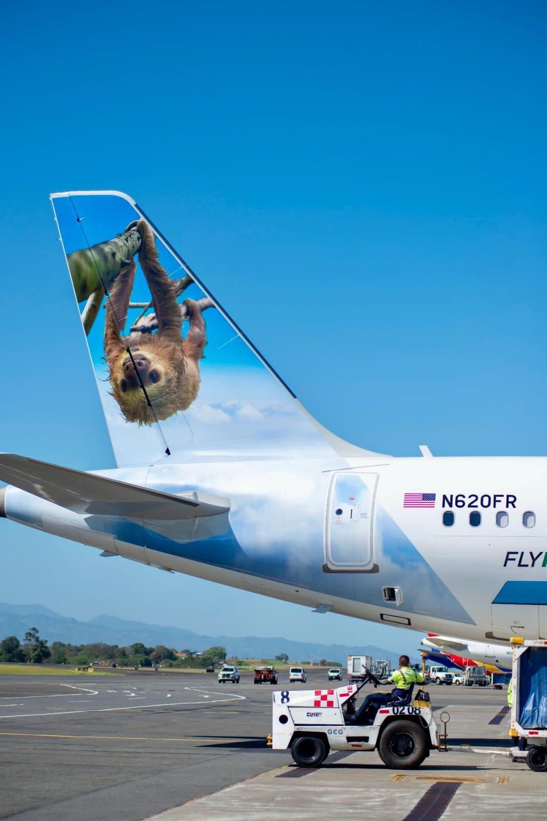 Avión tico perezoso, Estados Unidos