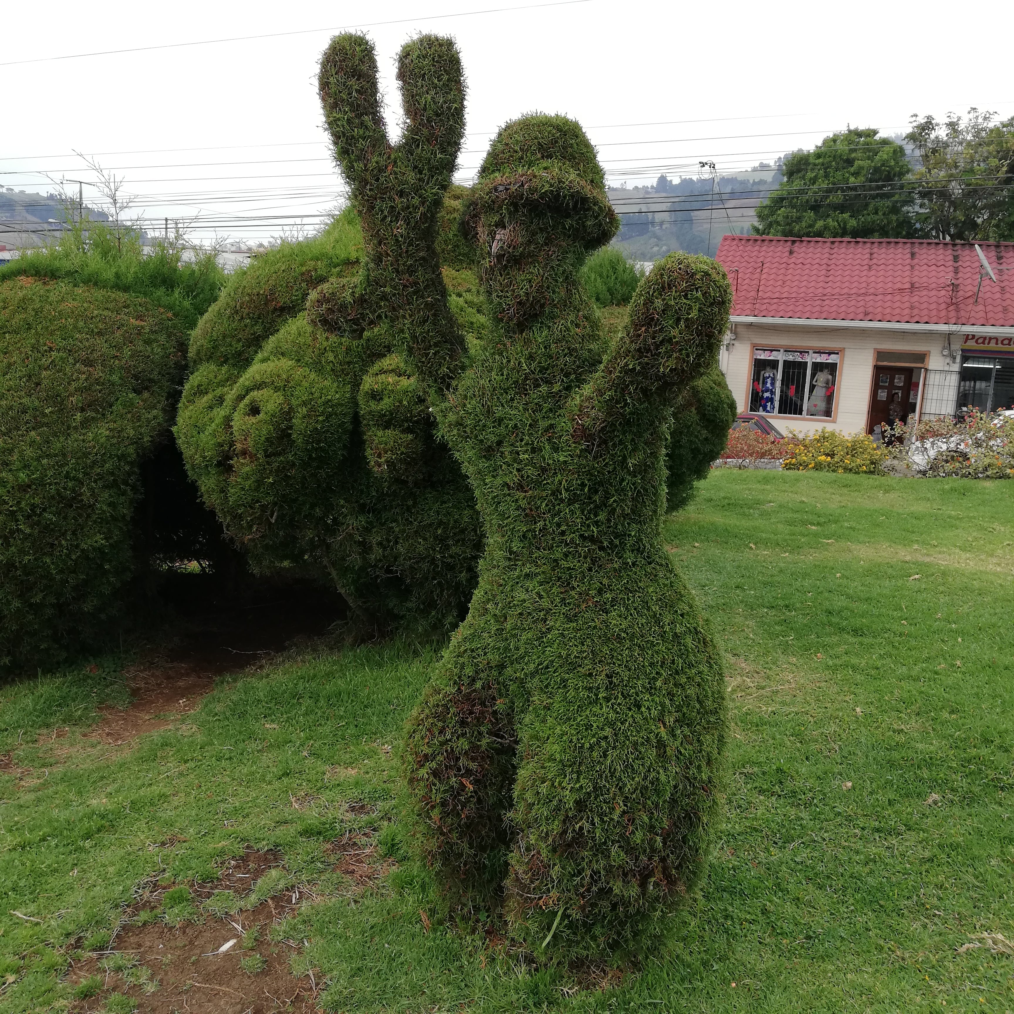 El 18 de febrero del 2021 don Evangelista Blanco Brenes el escultor del parque de Zarcero confirmó que urge alguien que quiera aprender el oficio