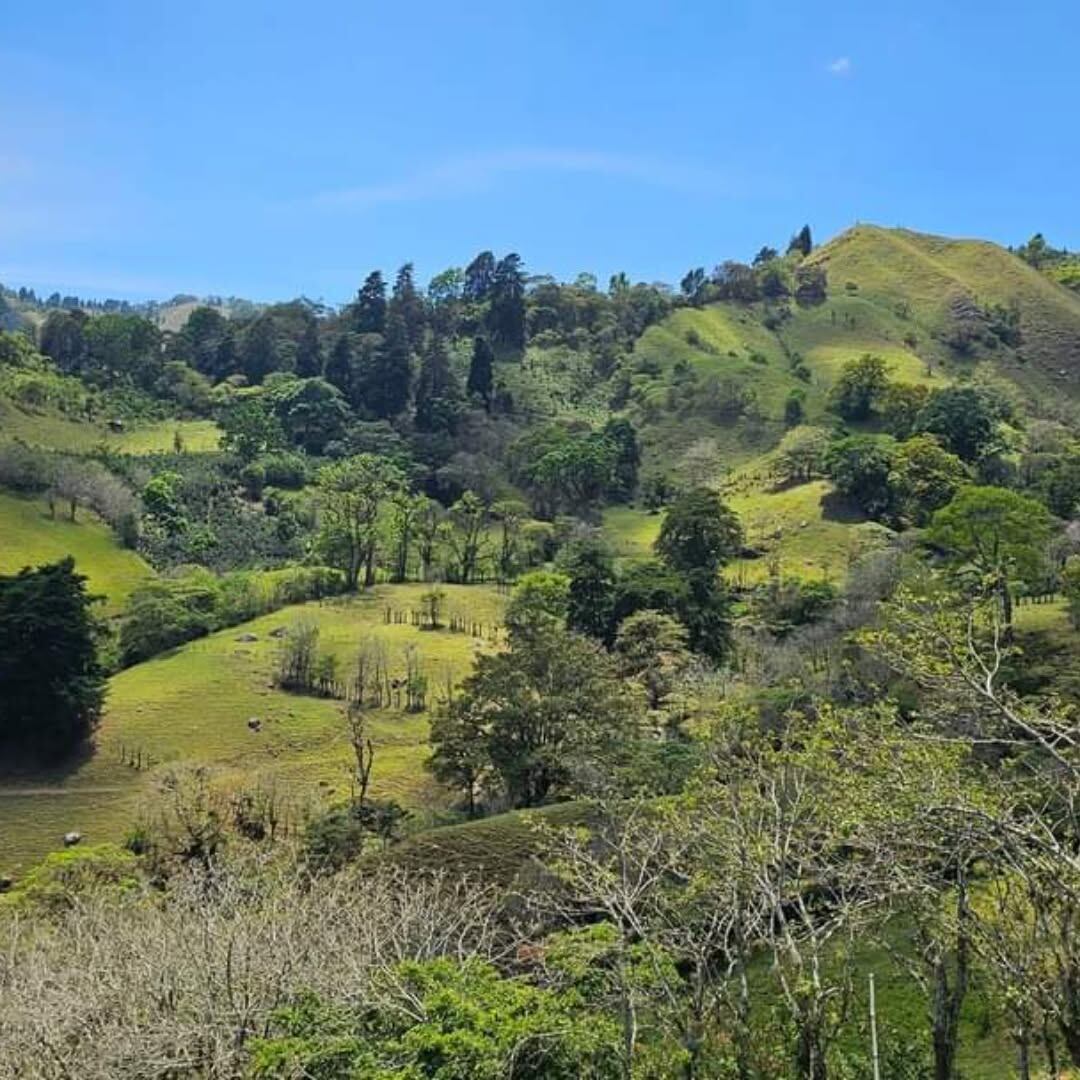 Explore la magia de la naturaleza en una caminata por hermosas montañas.