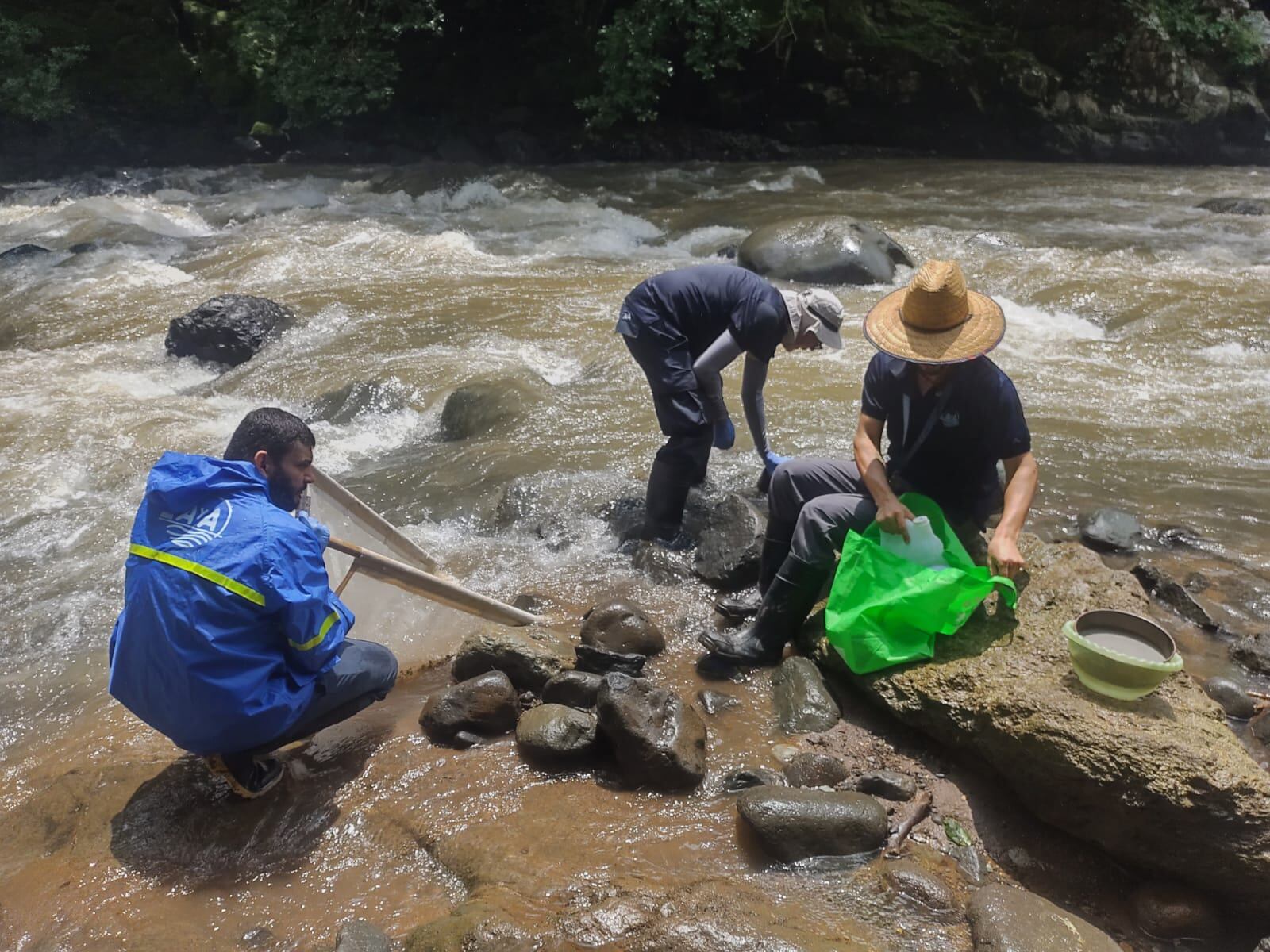 Las nuevas noticias sobre el agua para los vecinos de Puntarenas y Esparza son tremendamente positivas porque Acueductos y Alcantarillados (AyA), confirmó el fin de la contaminación.