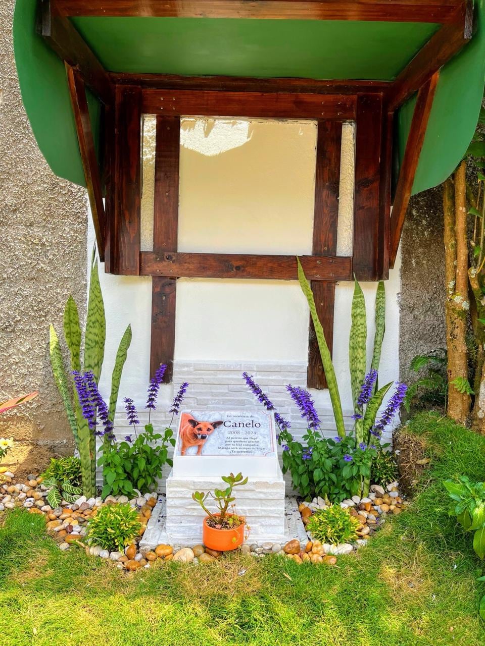 Canelo, un perro mestizo (zaguate) costarricense cuya historia de amor incondicional quedó grabada para siempre en una calle del residencial Málaga en Sabanilla de Montes de Oca